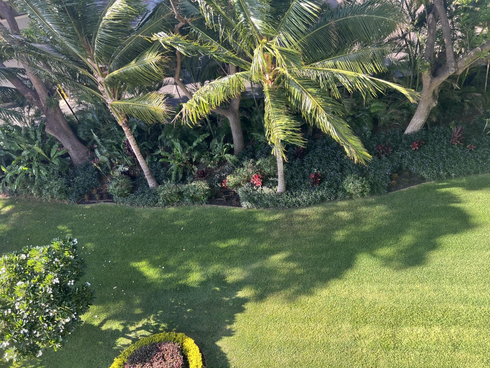 Courtyard view from room