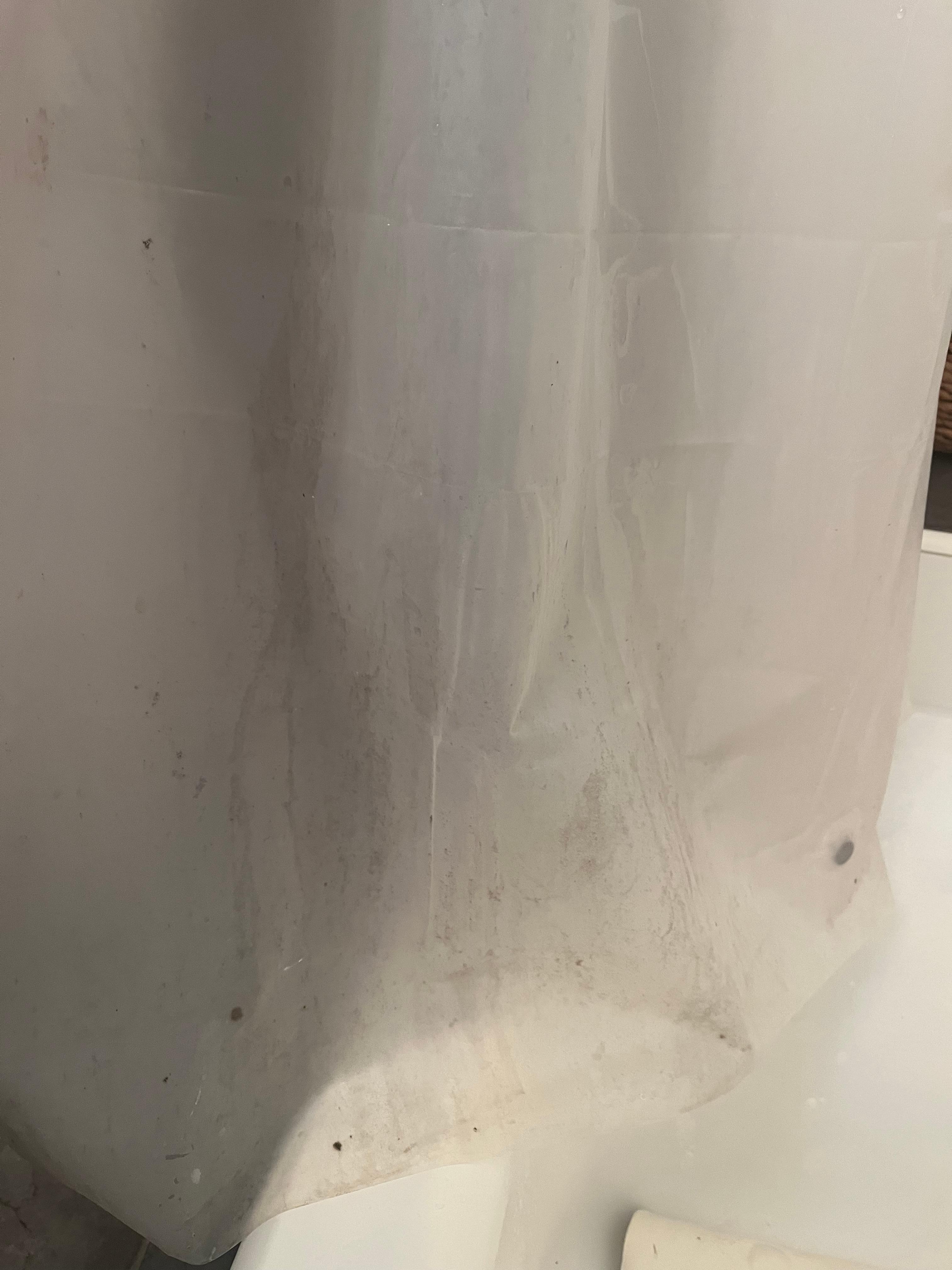 moldy bathtub shower curtain

Bathtub was corroded and dirty. We were told it would be replaced the next day after we left…great?! Thanks!