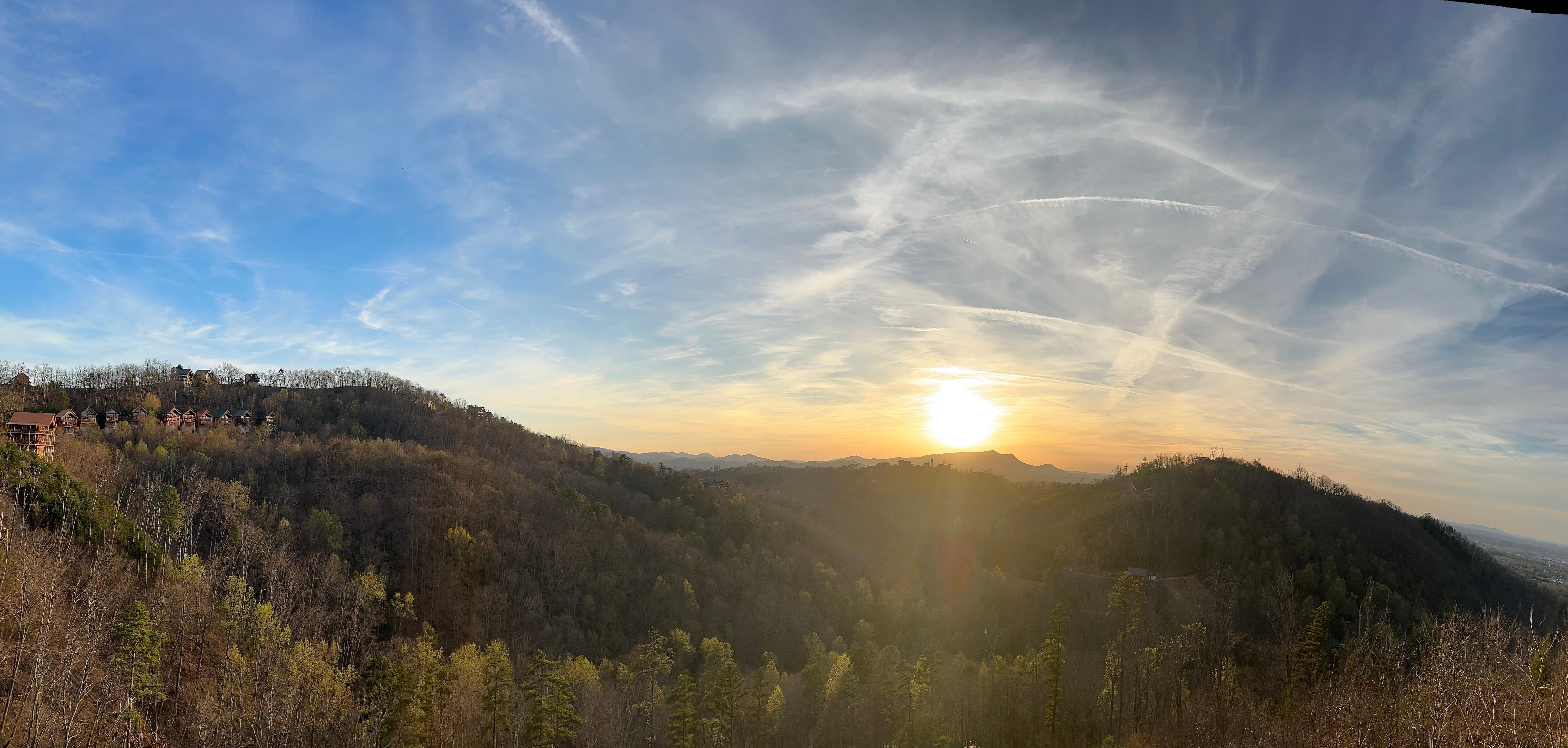 View from the porch. 