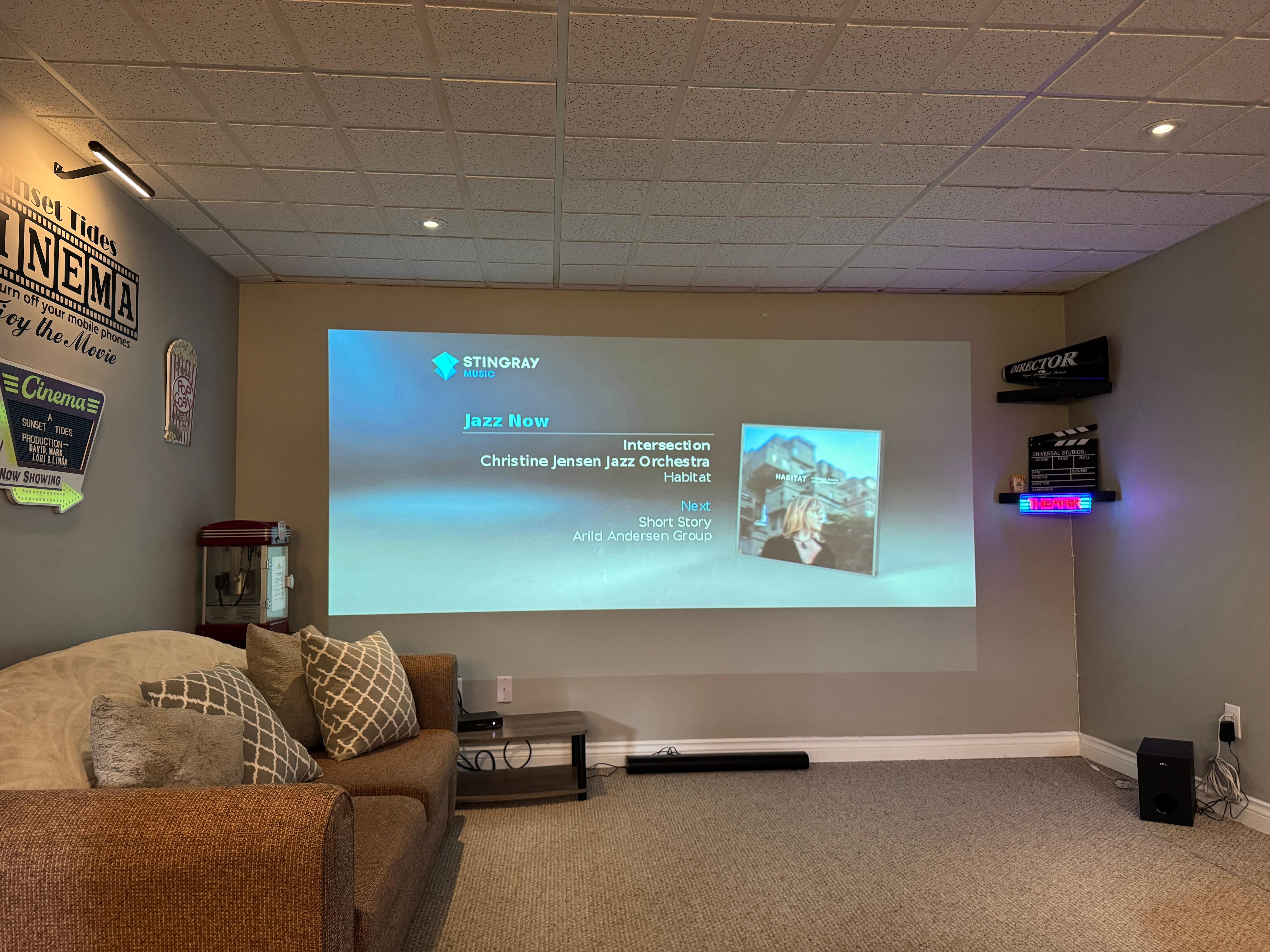 Our cinema!