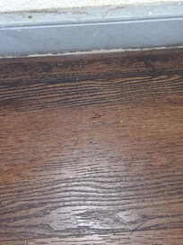 The roach that I killed on the floor