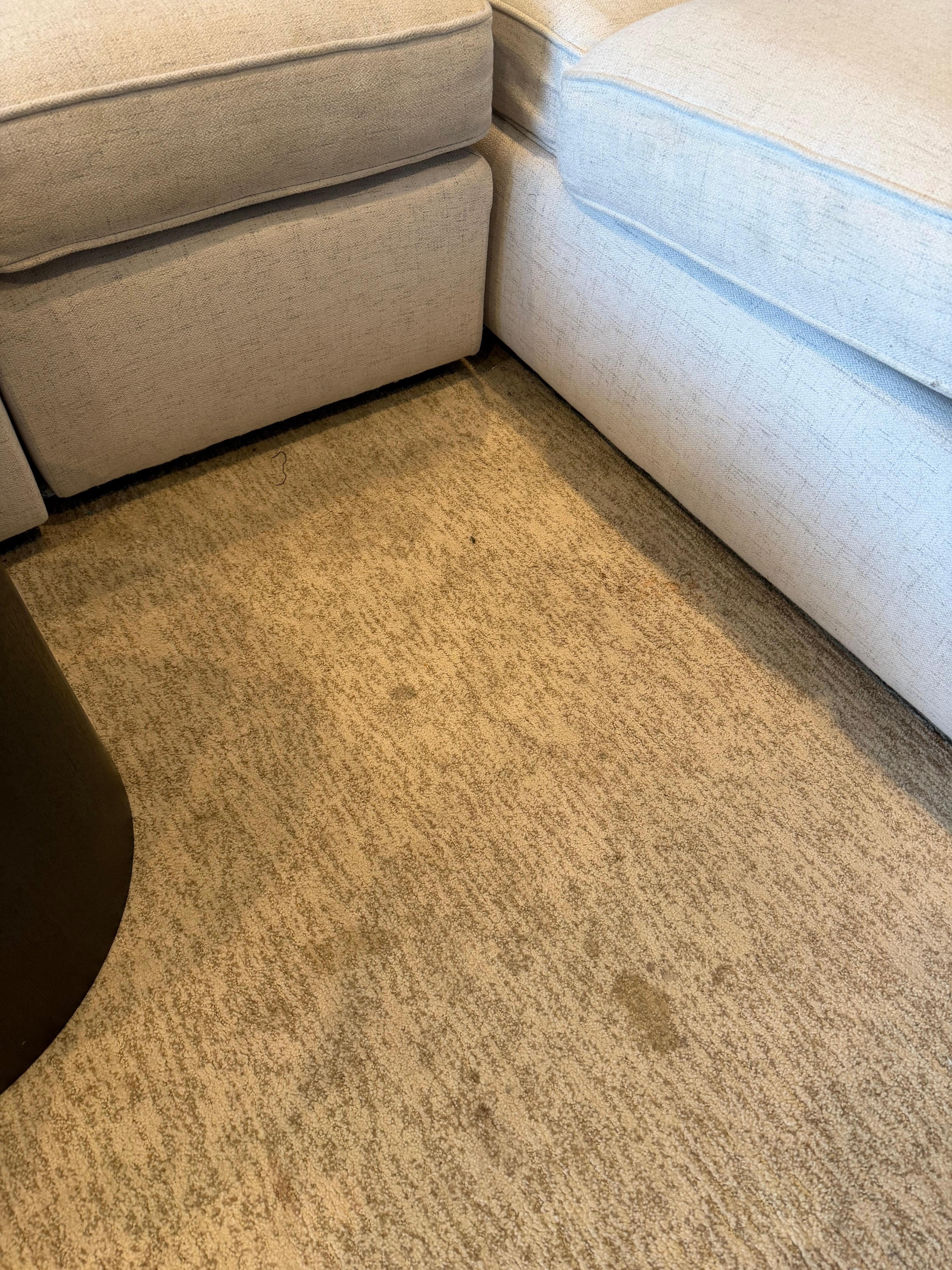 Dirty carpets and furniture 