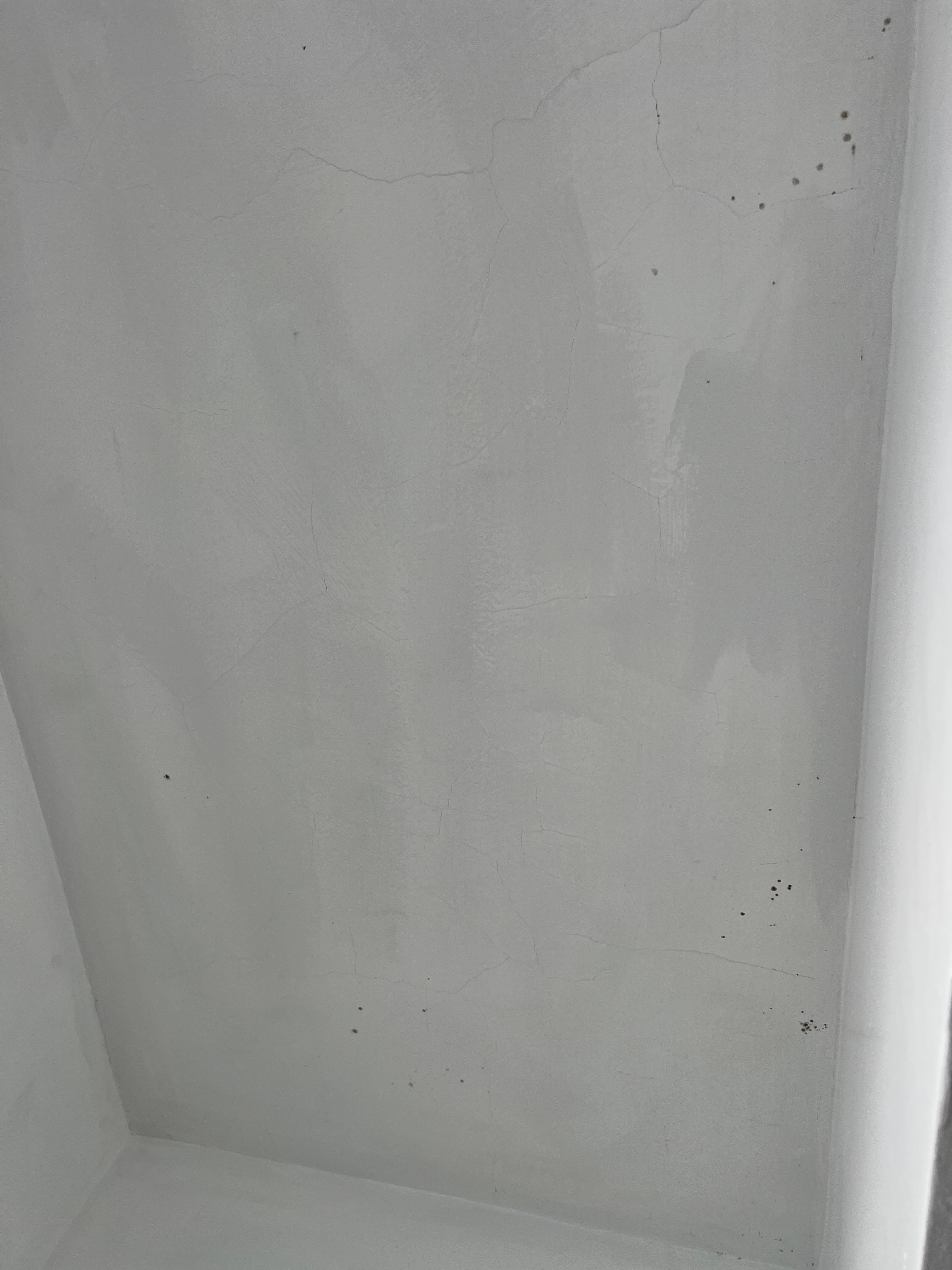 Mold on bathroom ceiling. 