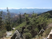 The view on a local walk