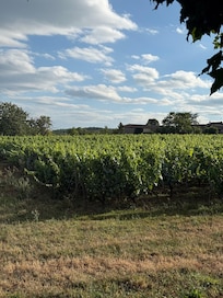 View from private garden