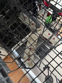 Moldy Dishwasher arm