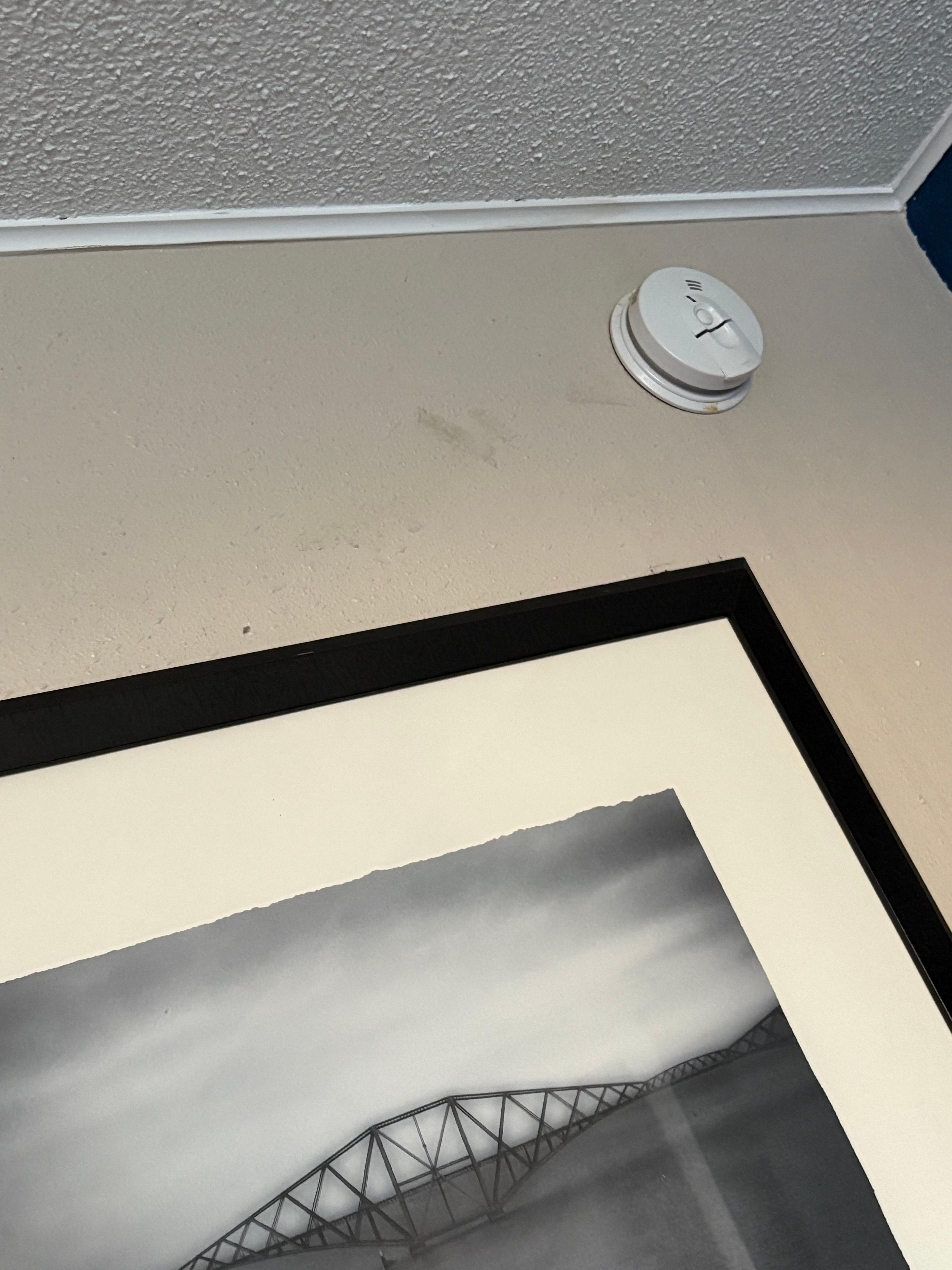 Roach droppings and dust