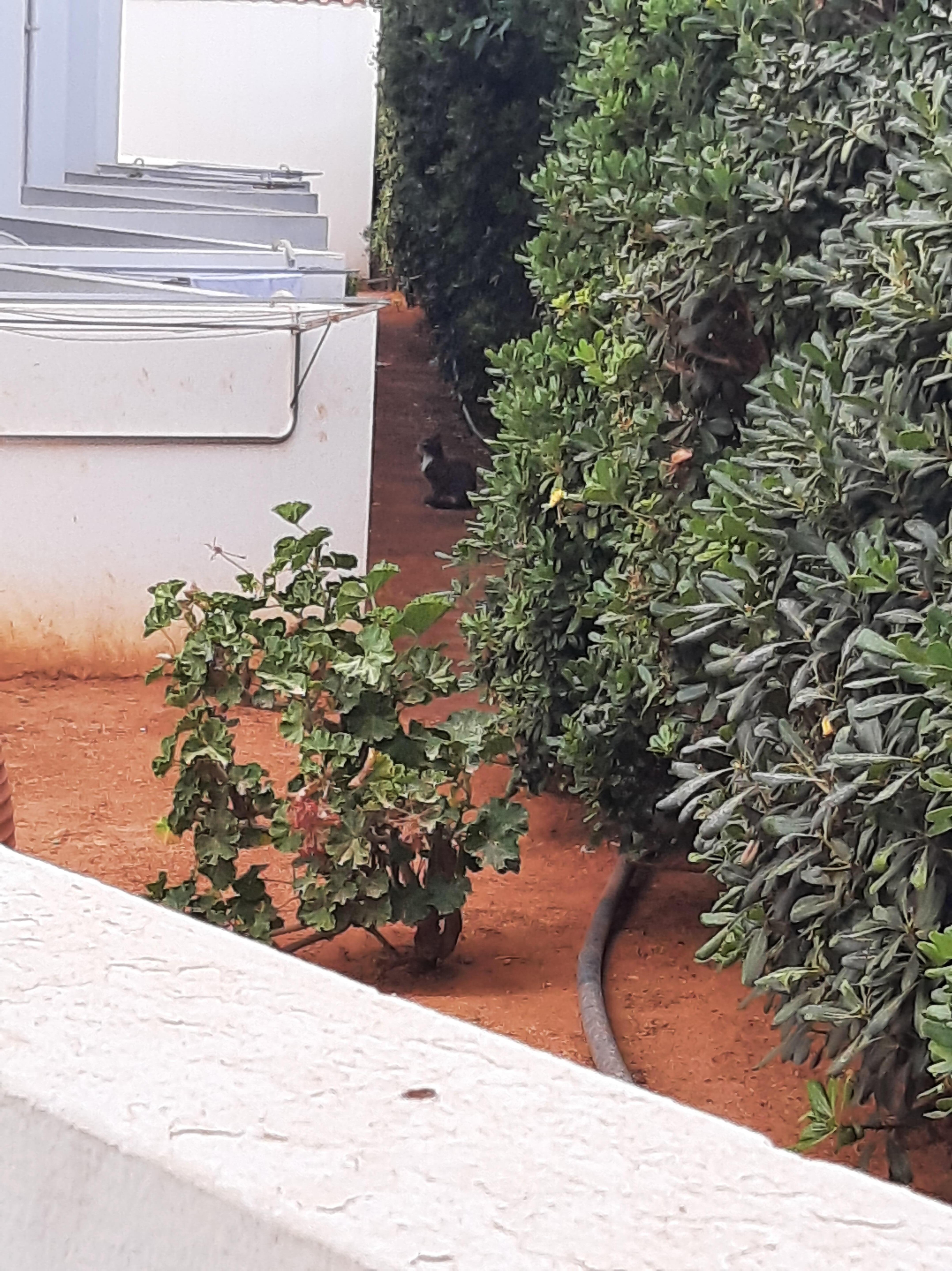 Nice planting 