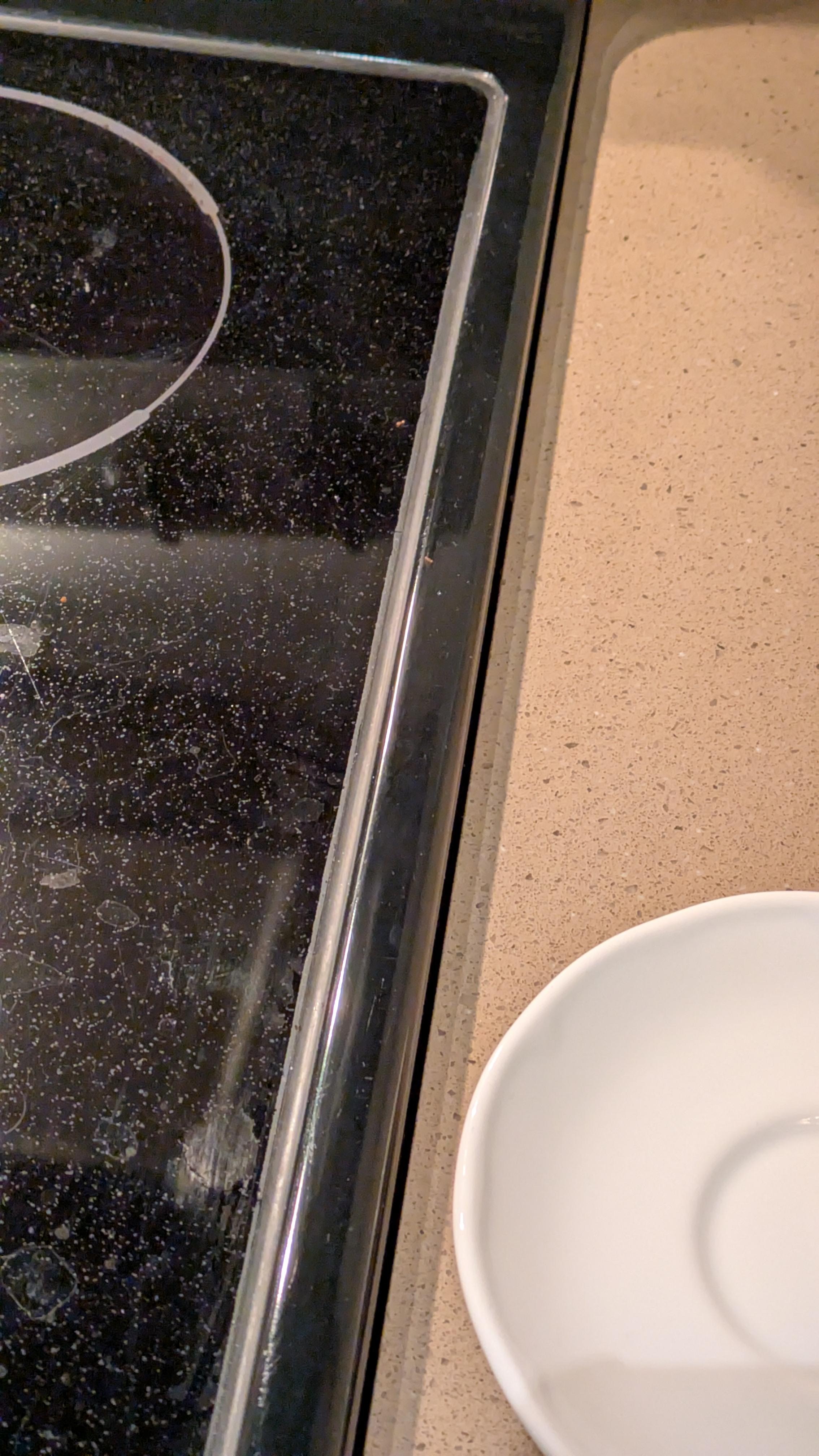 bugs/insets (yellowish dots) on stovetop 