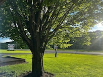 Looking out the front door.