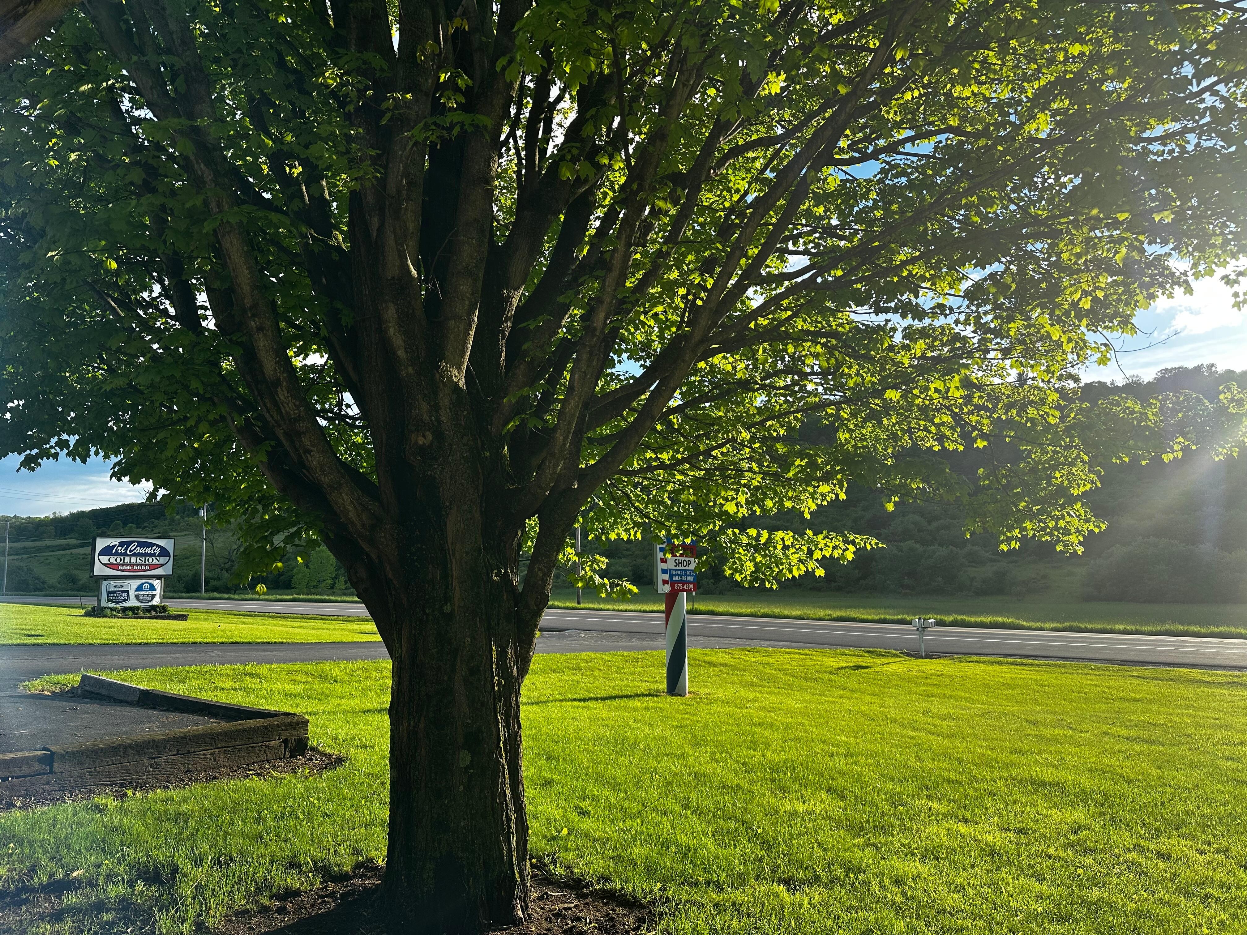 Looking out the front door.