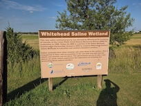 Cool wetland behind / next to the hotel.