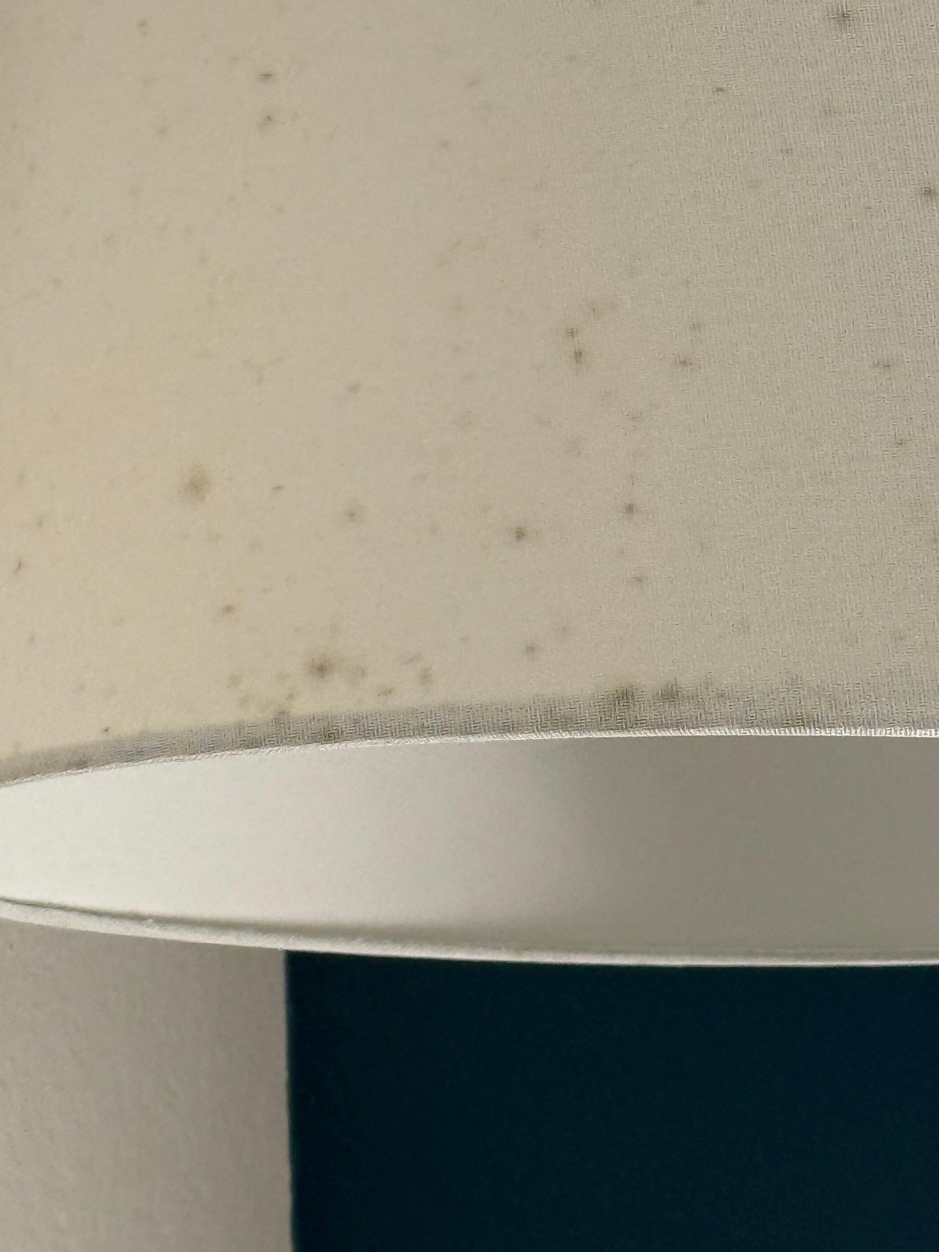 Moldy lamp shade 