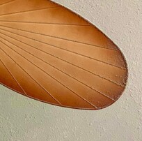 Fan in living room, they were all like this