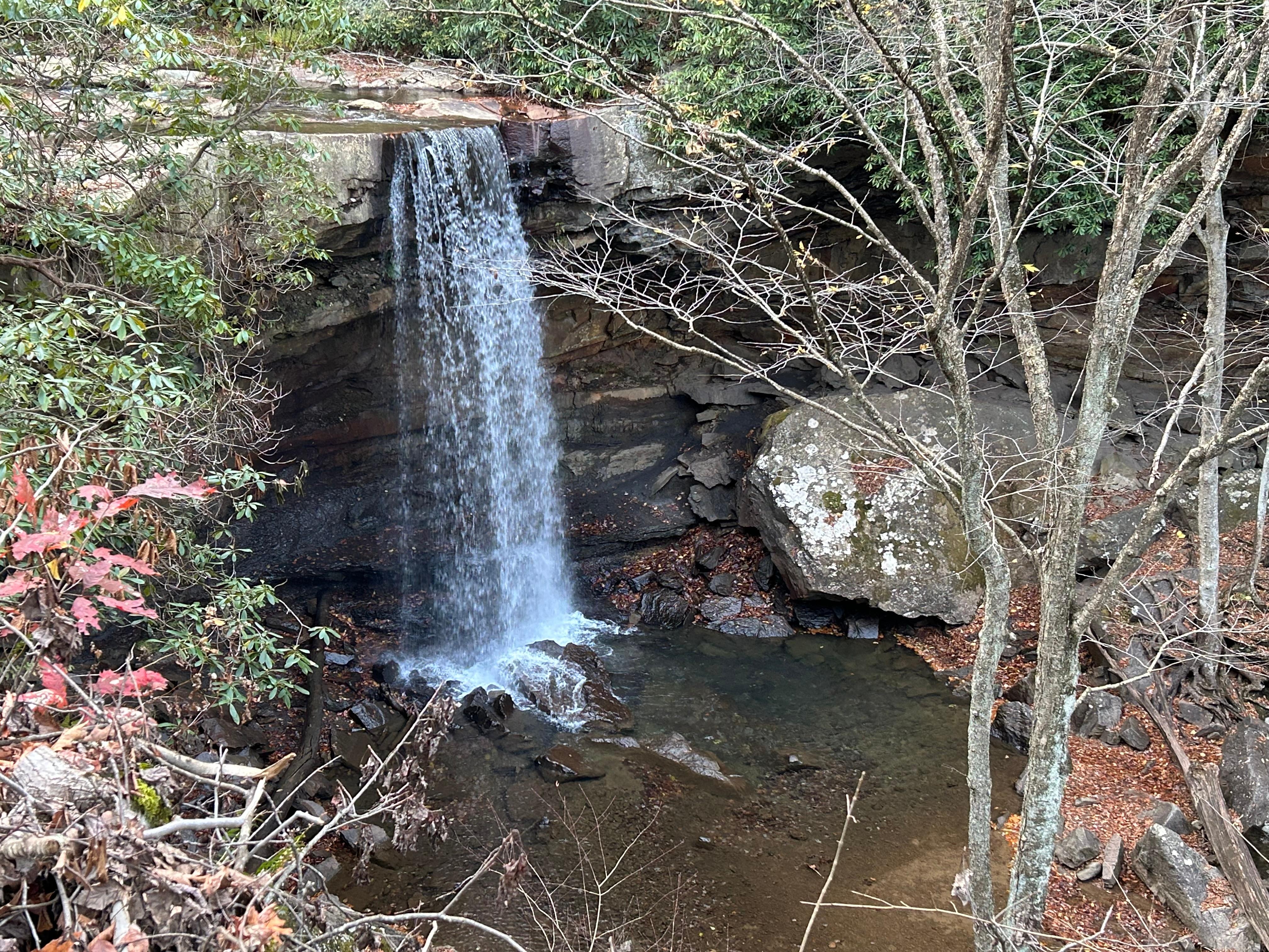 Great hiking at nearby Ohiopyle