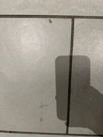 Looks like the tile and grout were never properly cleaned.