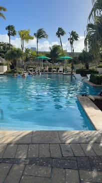 Adult Pool