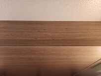 Ants on headboard