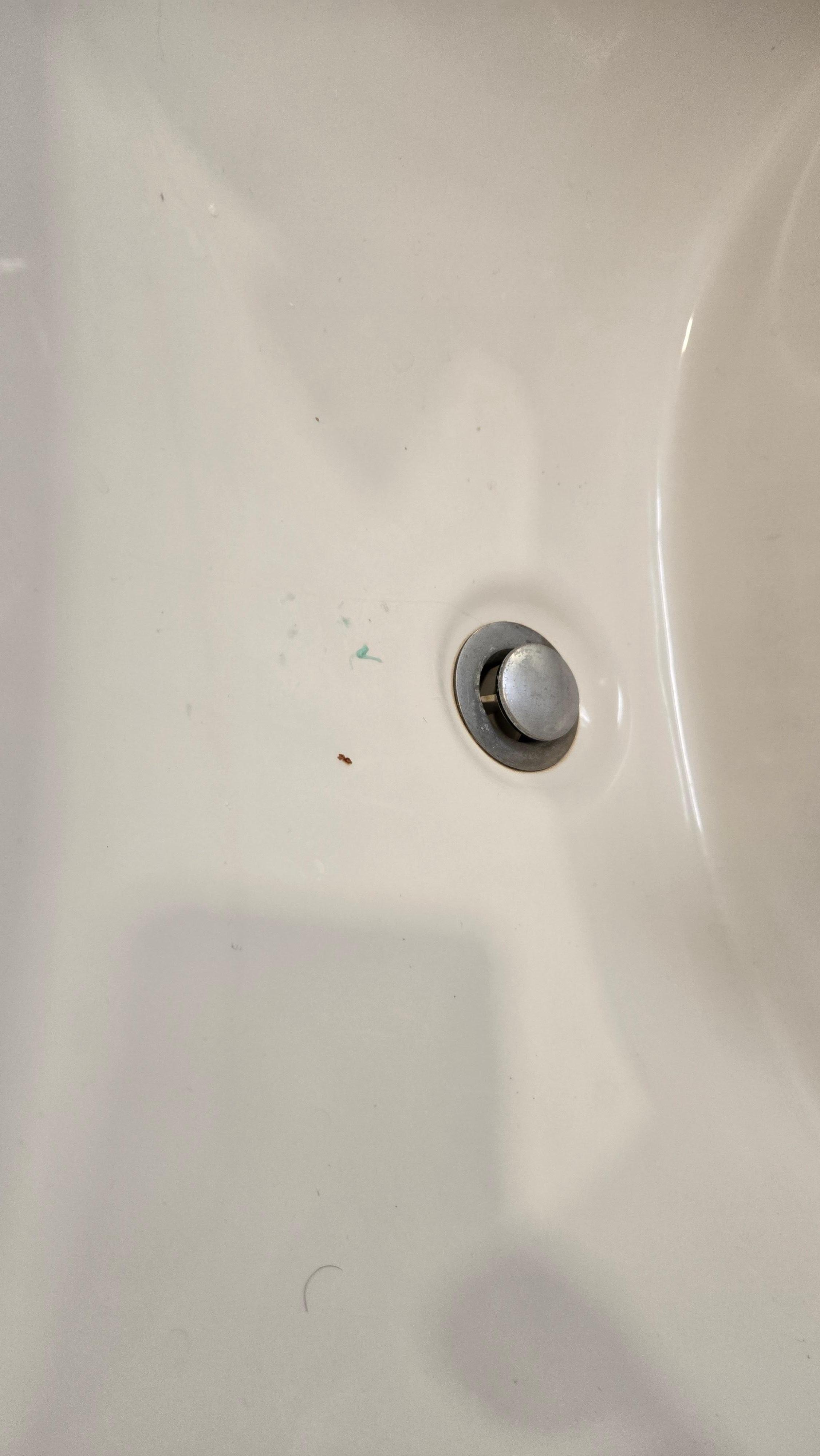 No housekeeping, 2nd day