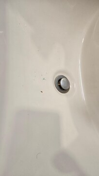 No housekeeping, 2nd day