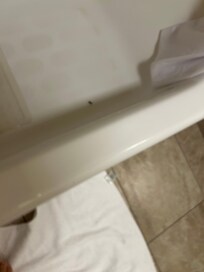 Roach fell out of “clean” towel and into the tub