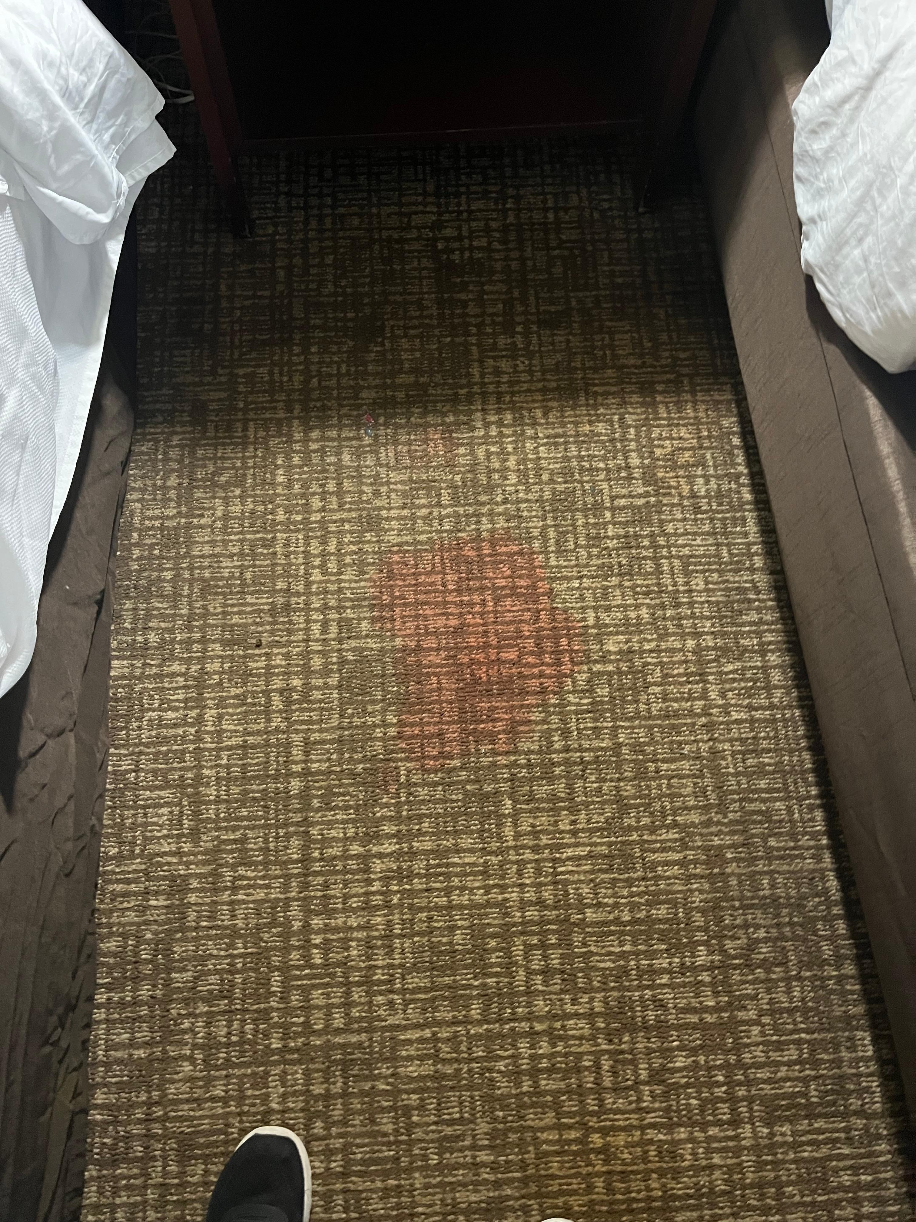 Stains on the carpet in addition to being filthy.