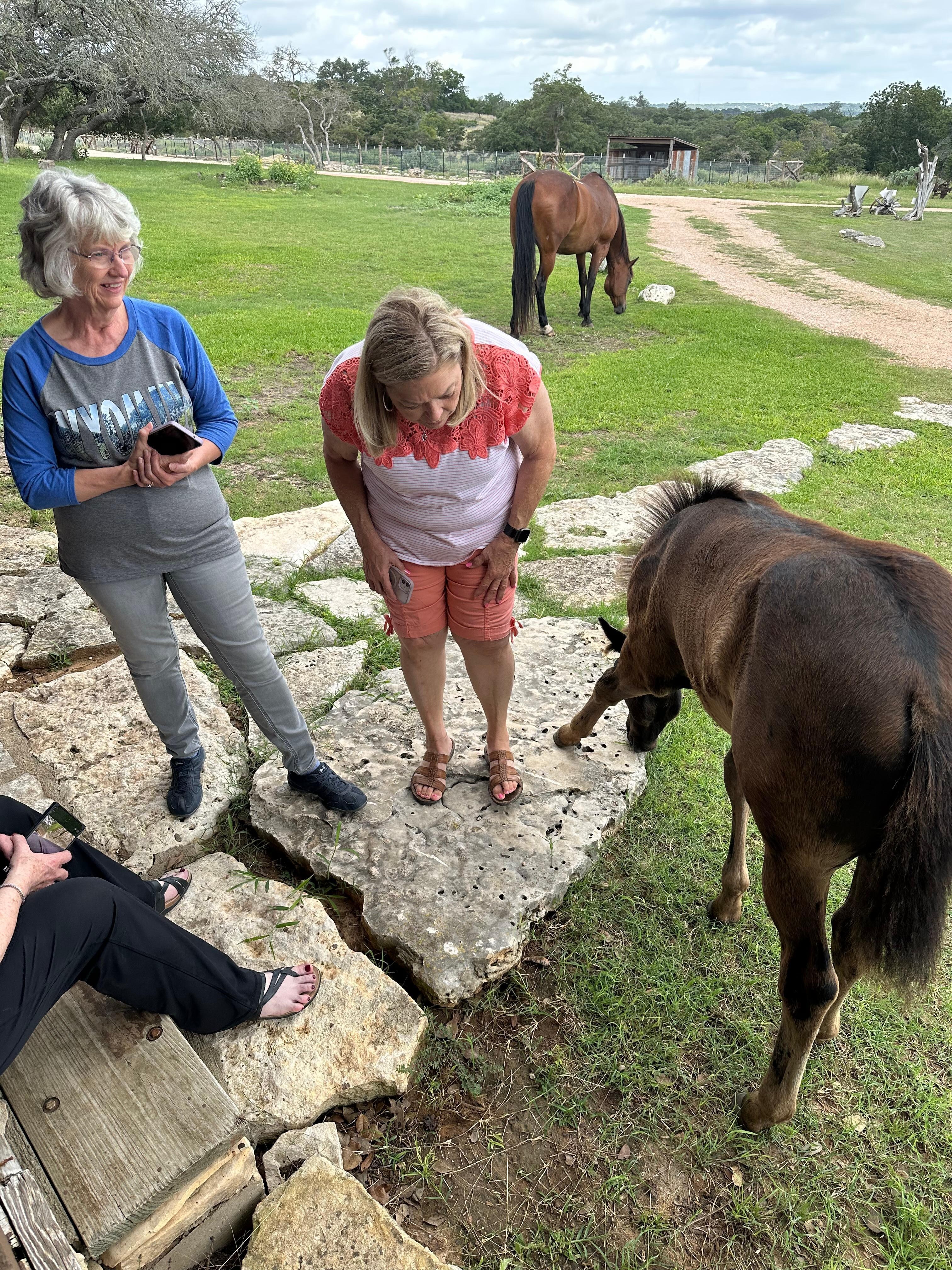 Loving the horses!