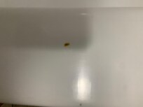 Rust on bathtub