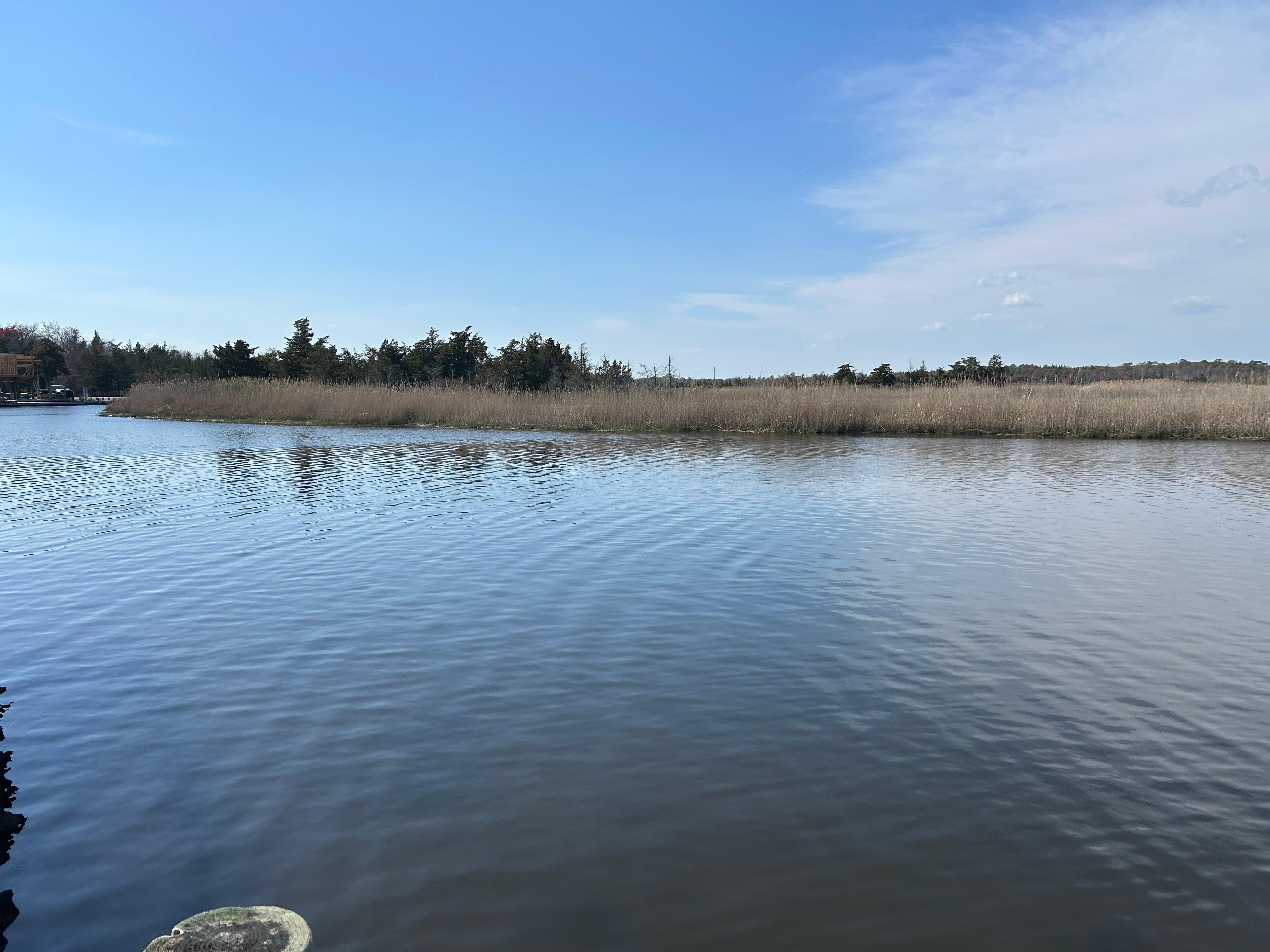 Channel 