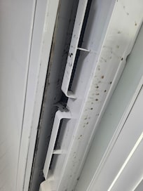 Mold innupstairs AC