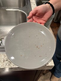 Very dirty Plate from cabinet