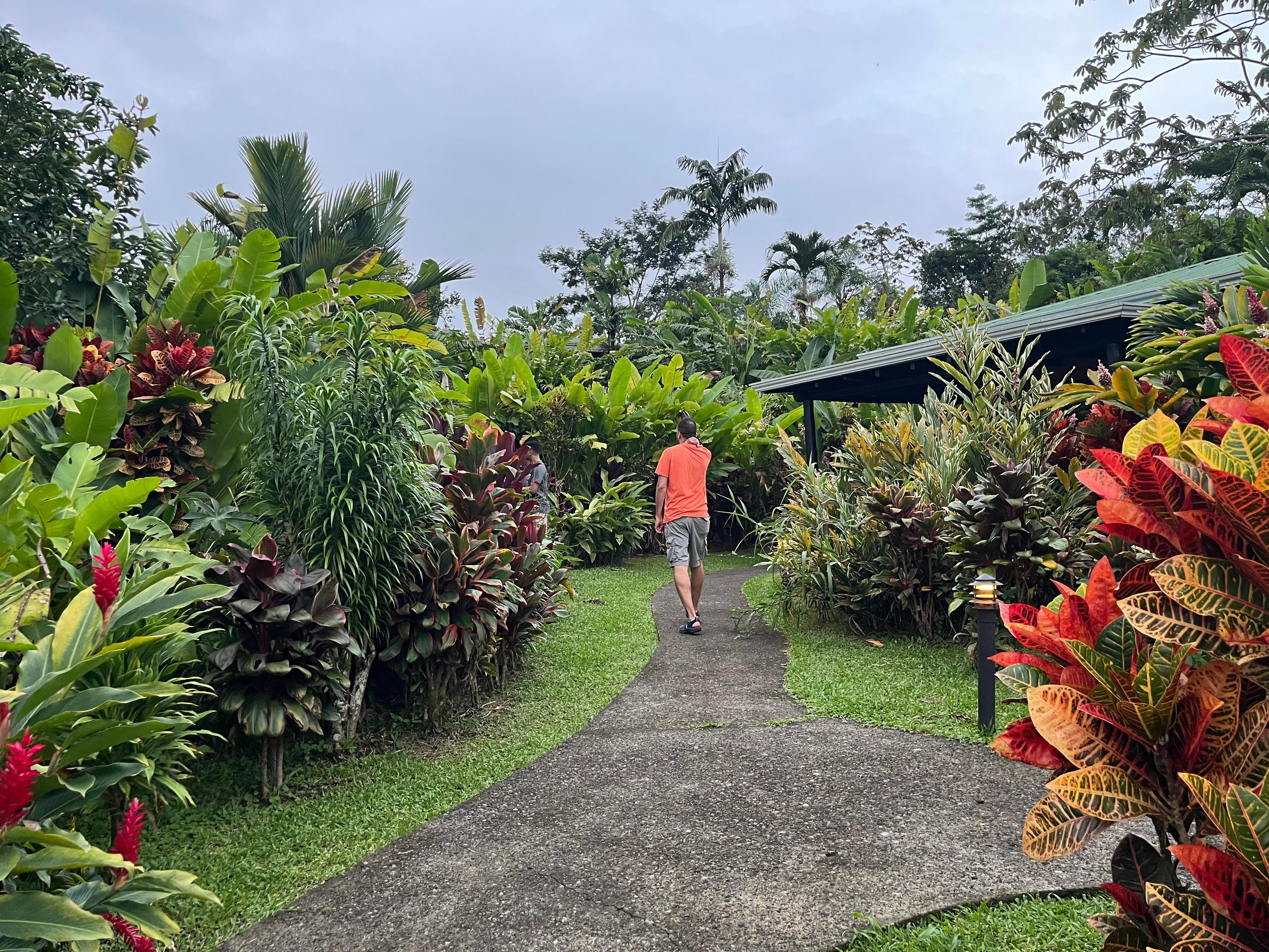 Walk from the car to the room