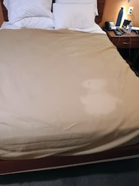 Blankets although washed have stains