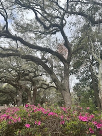 Forsyth Park
