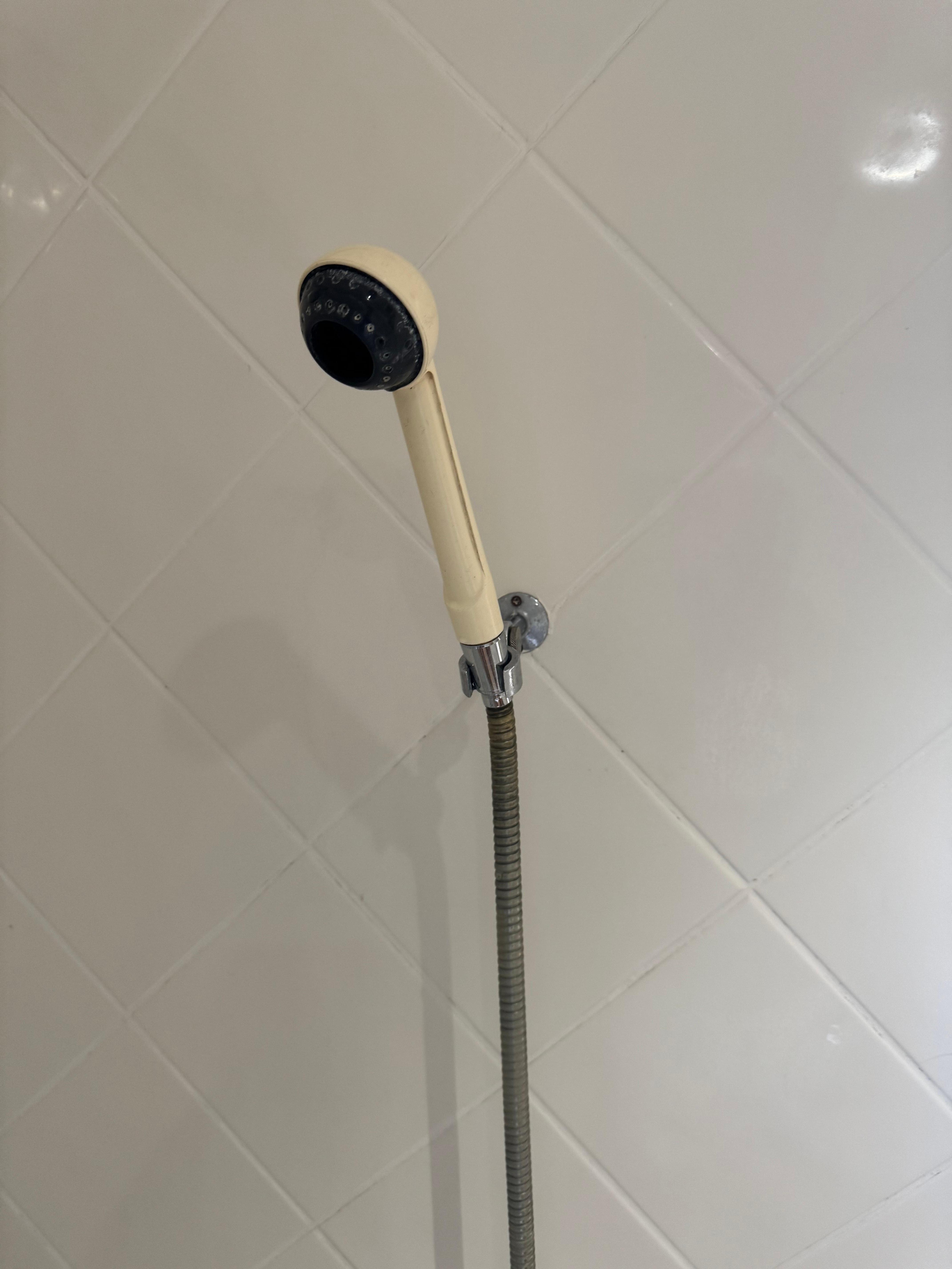 A shower that did work