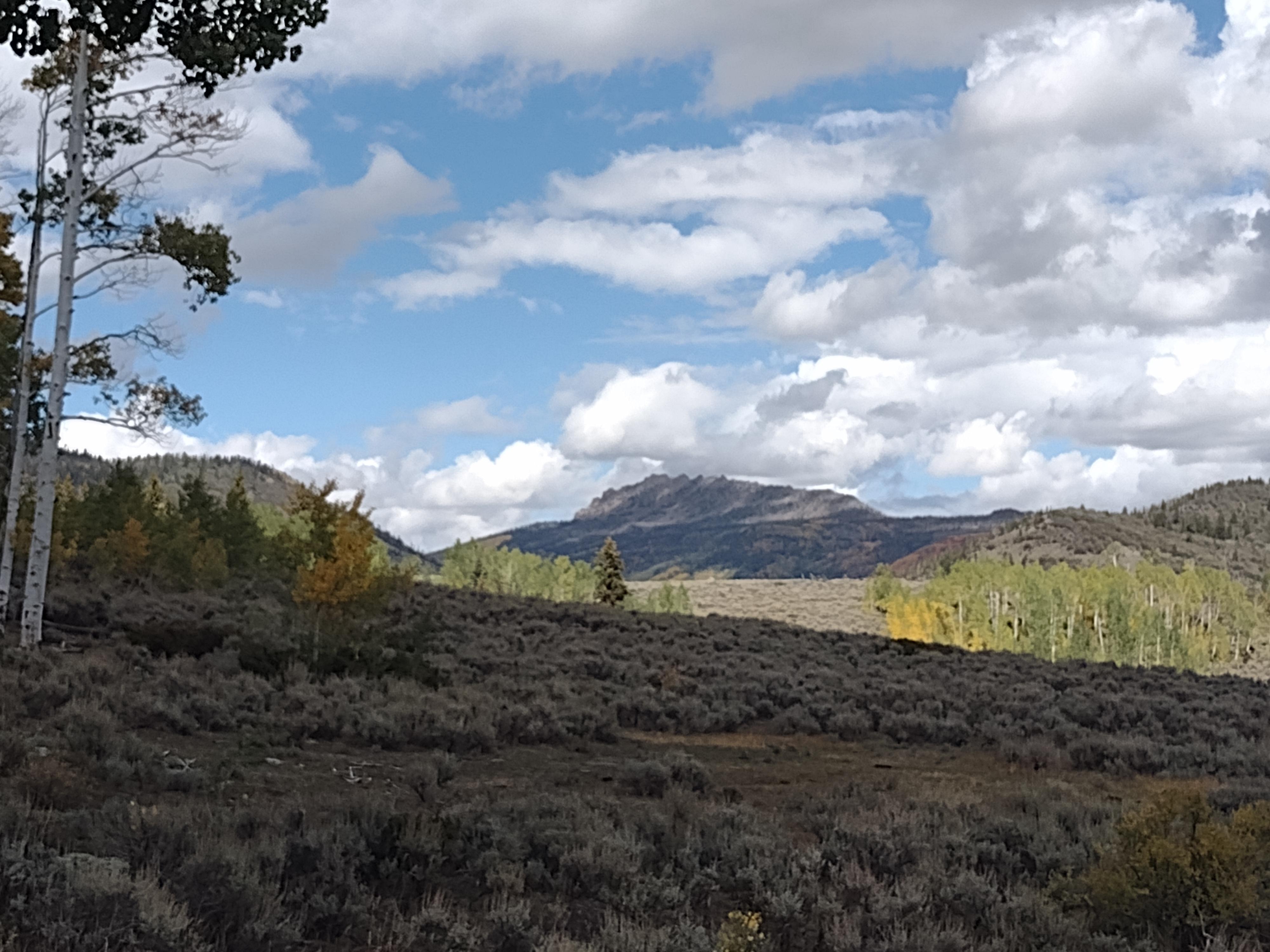 Fishlake National Forest, about 45 minutes from Fremont
