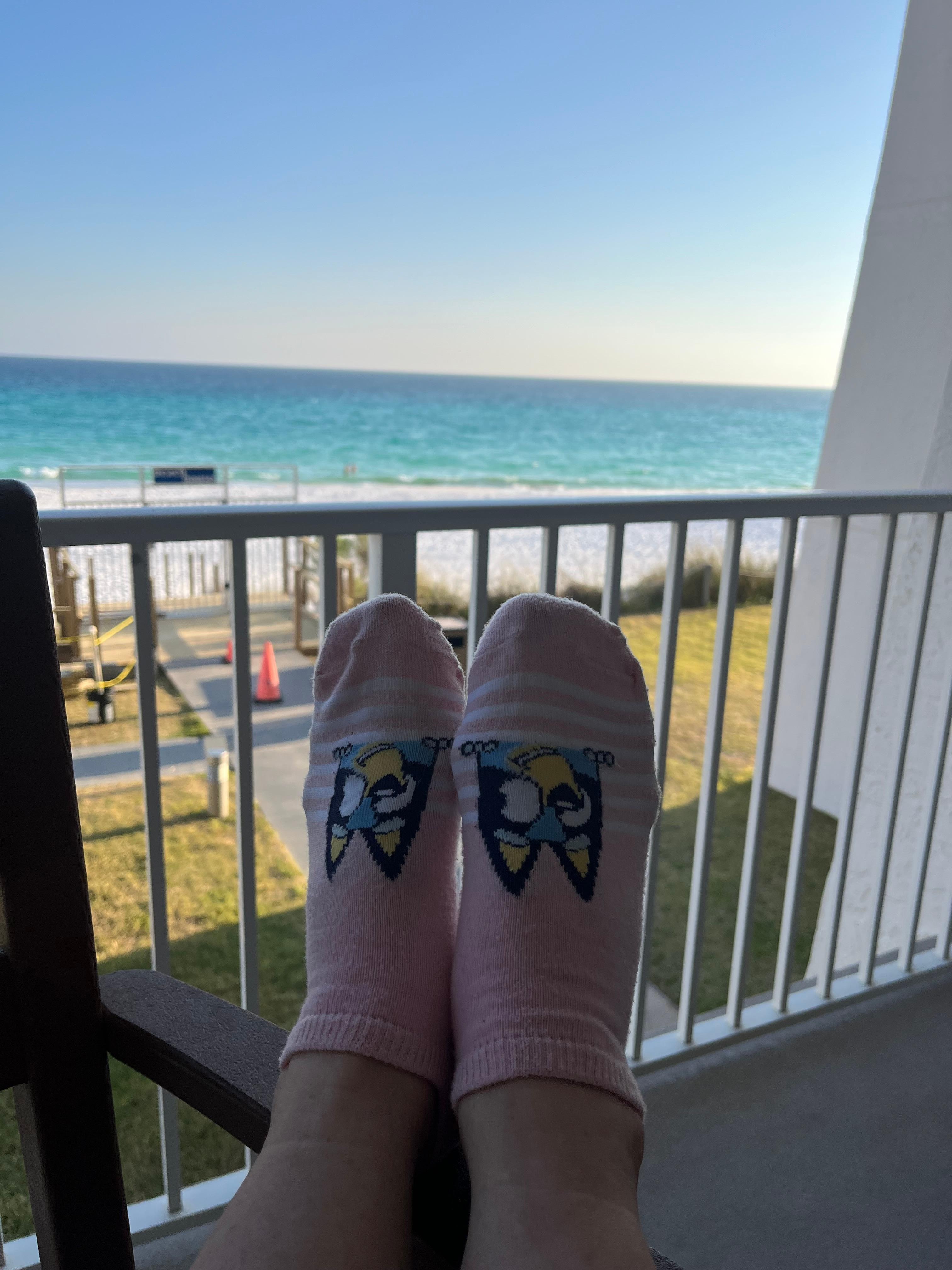 Bluey at the beach. 2nd floor balcony. 