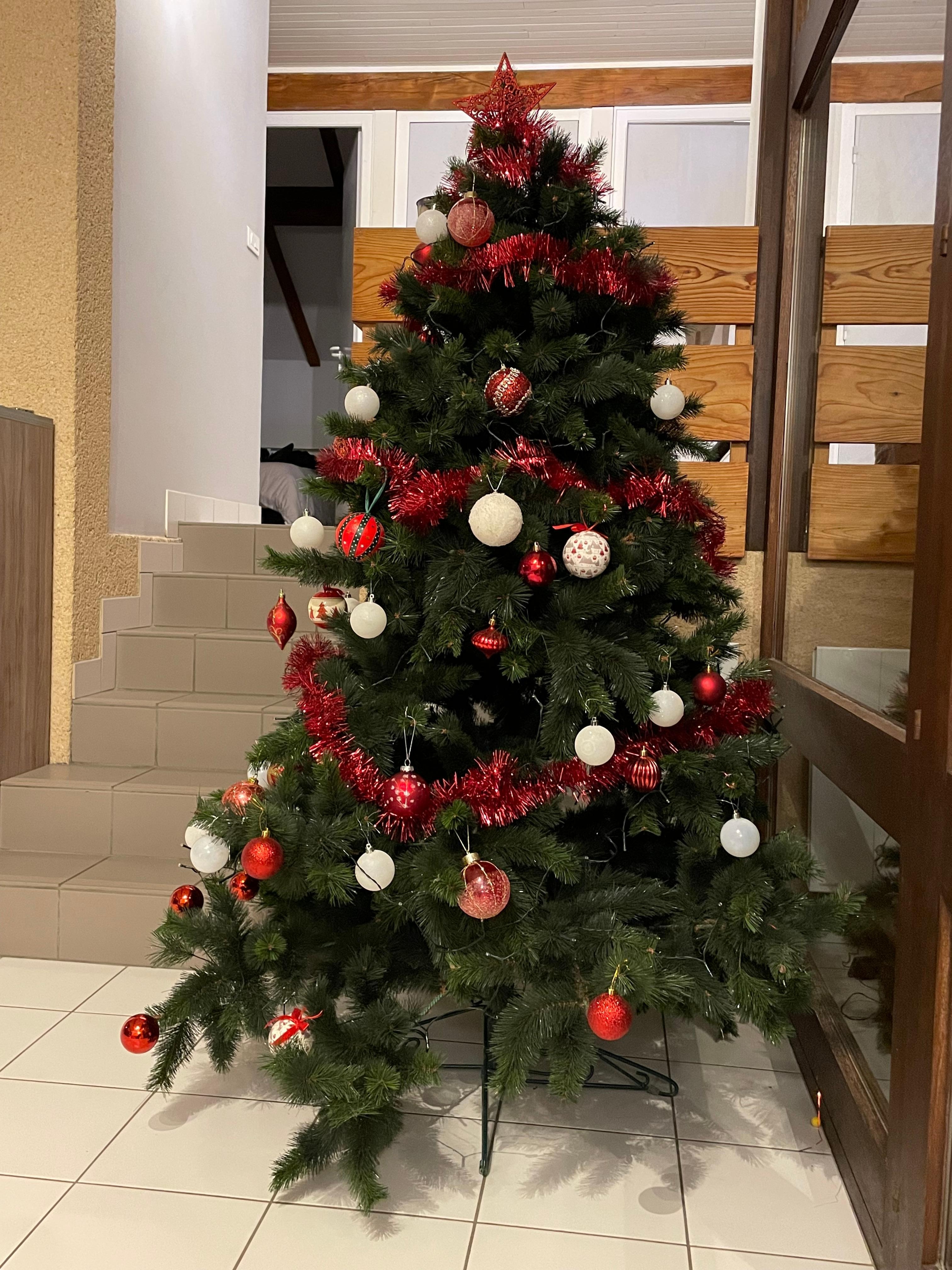Nous avons même pu faire notre sapin 🌲🥰 ! 