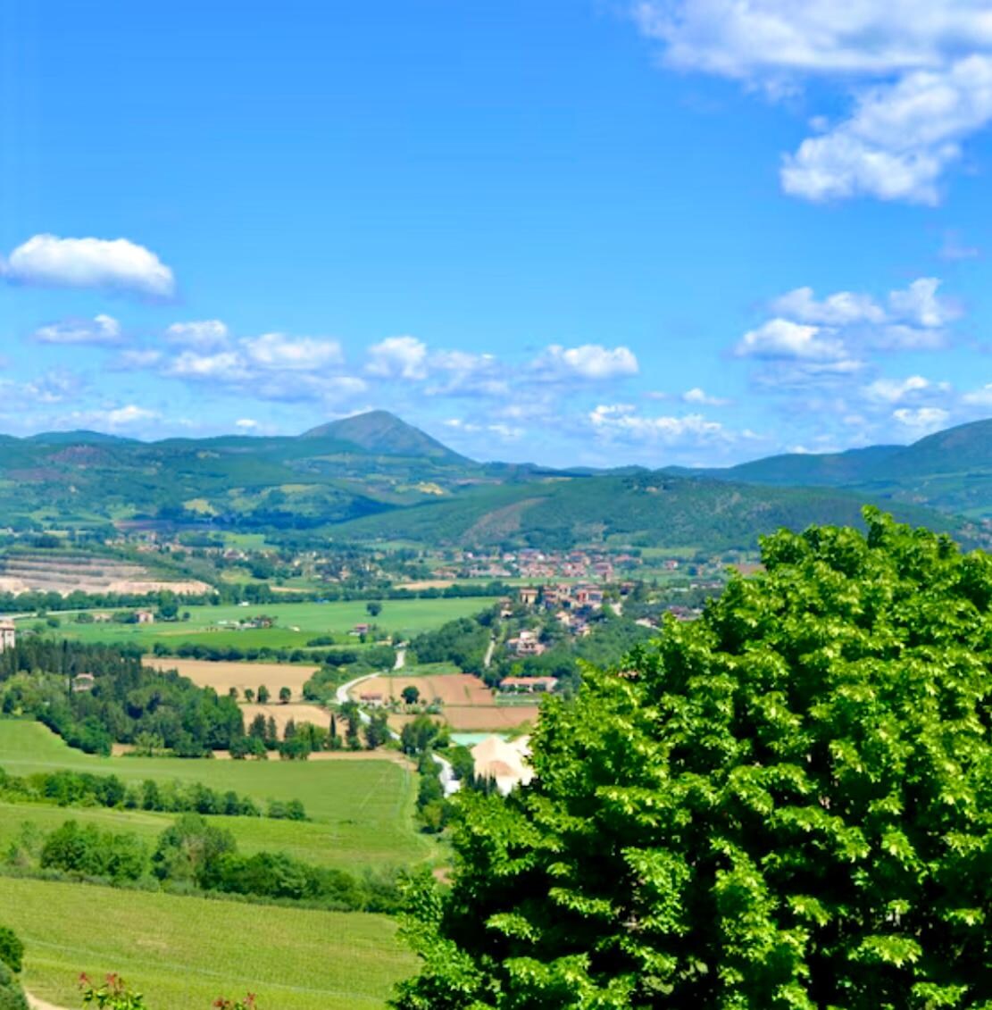 Aussicht vom Ferienhaus 