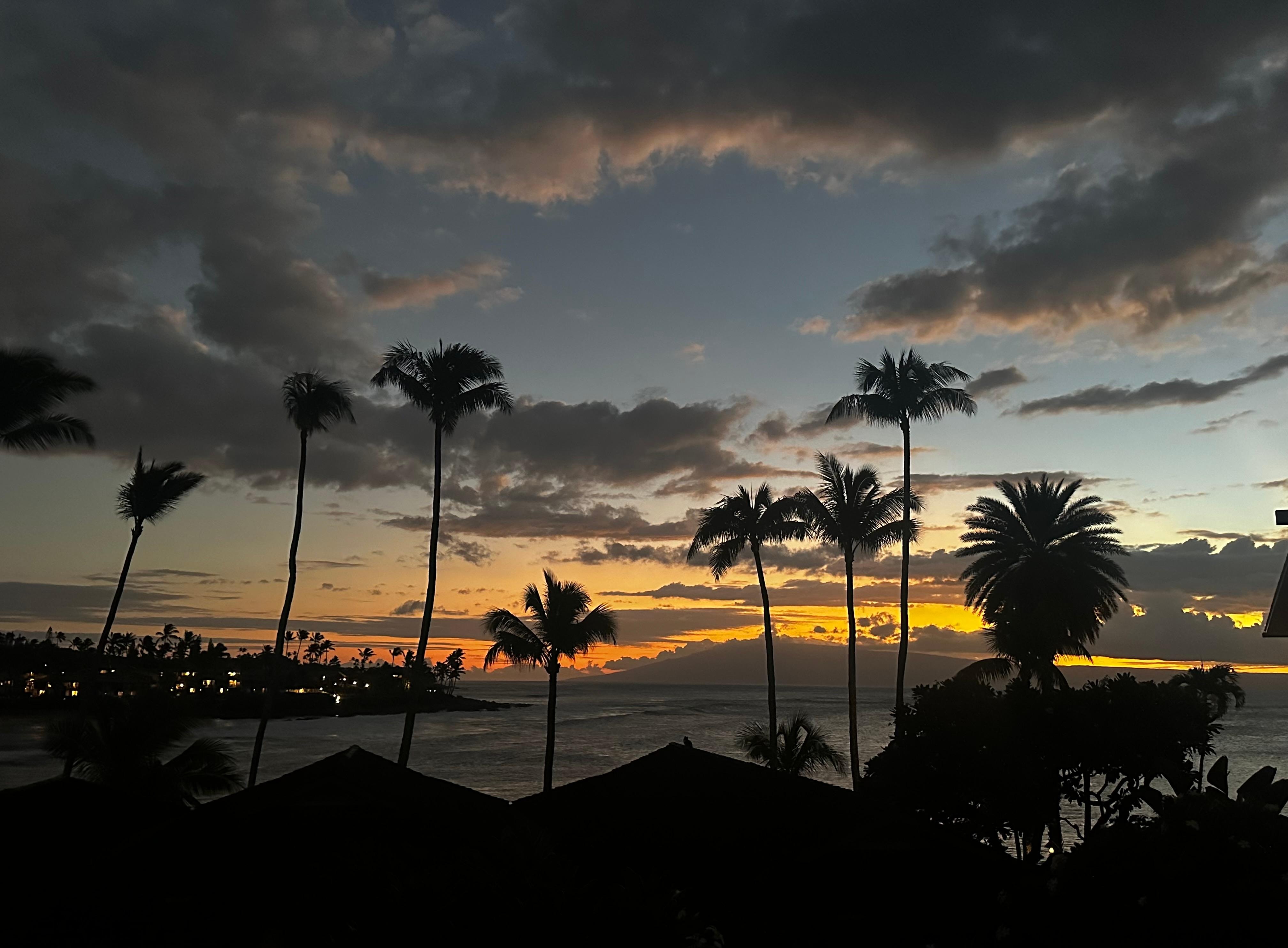 Gorgeous sunset view 