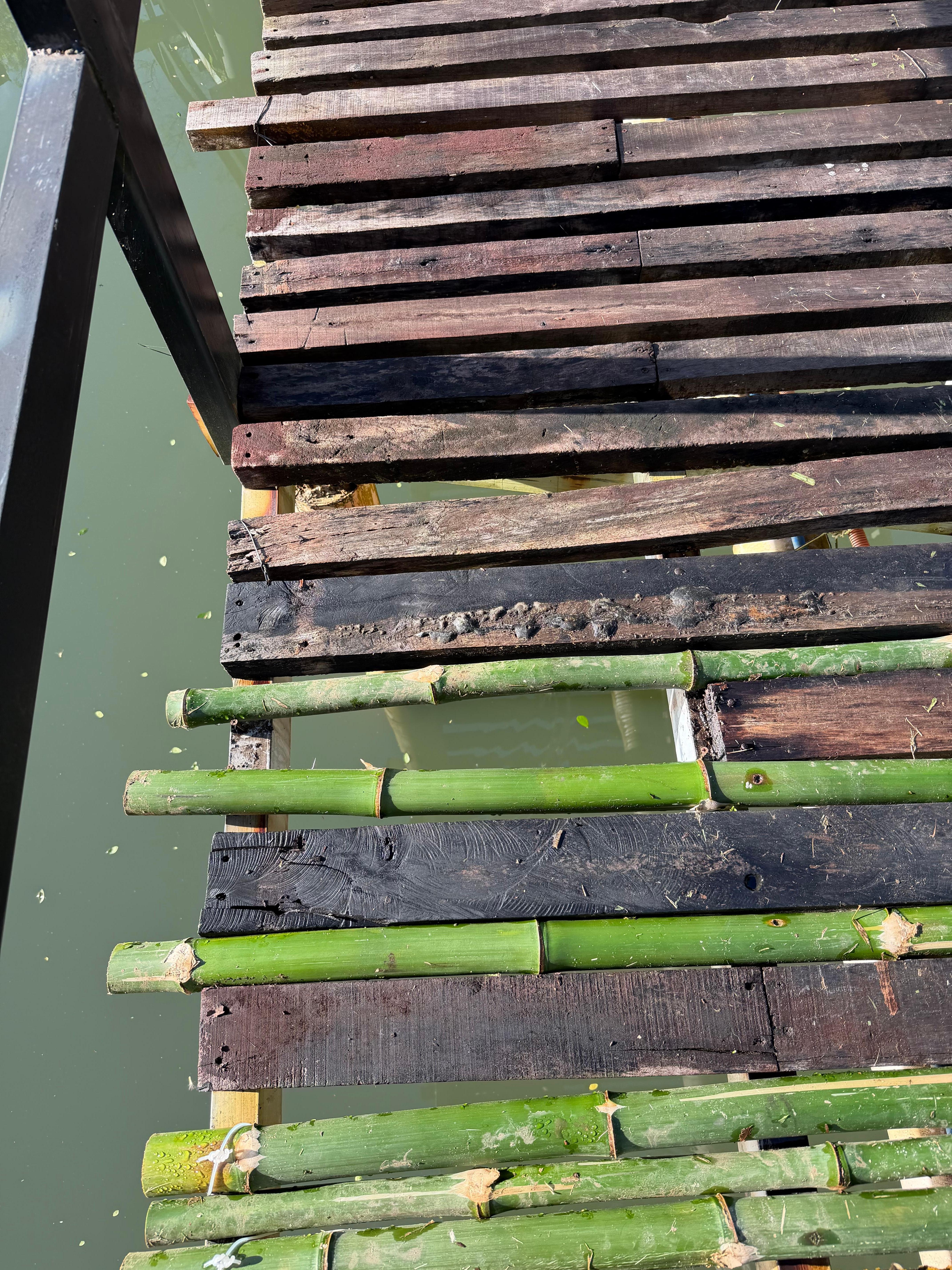 Missing parts on the bridges