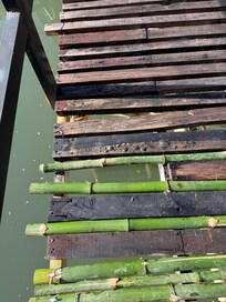 Missing parts on the bridges