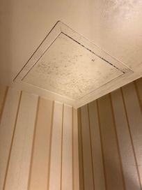 Mold in bathroom