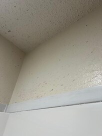 Mold in bathroom