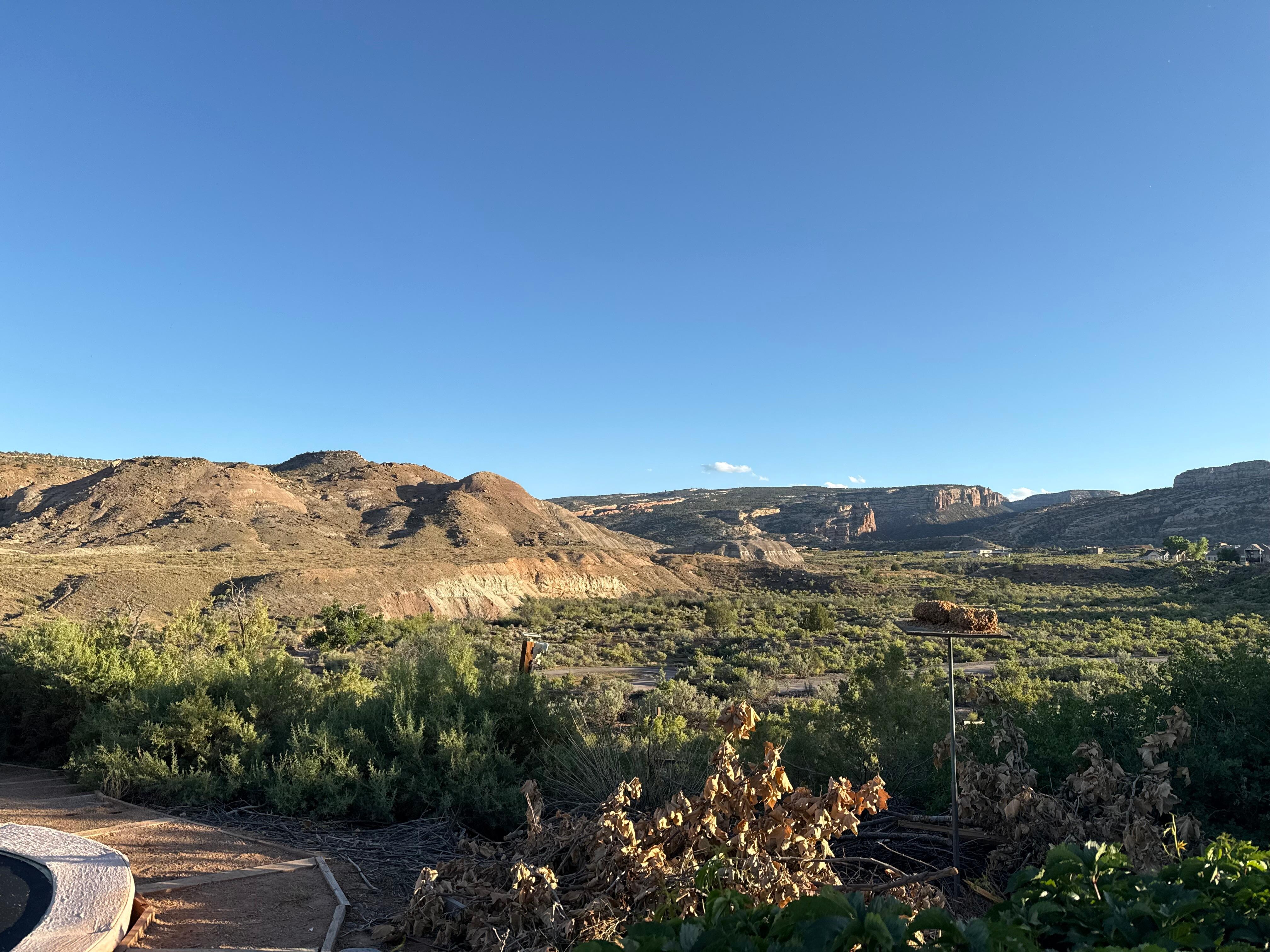 Picture along the trail behind the house