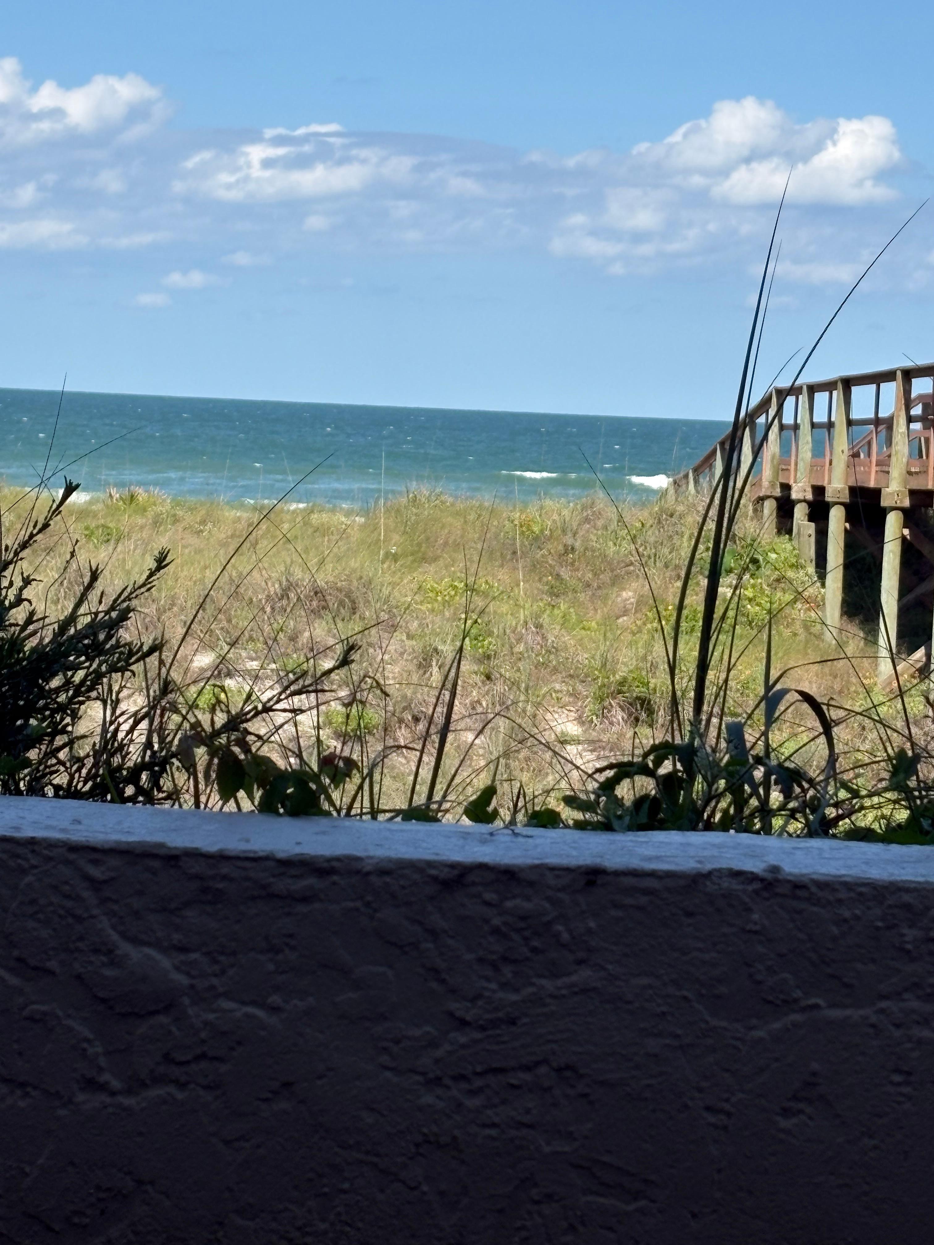 From our patio view