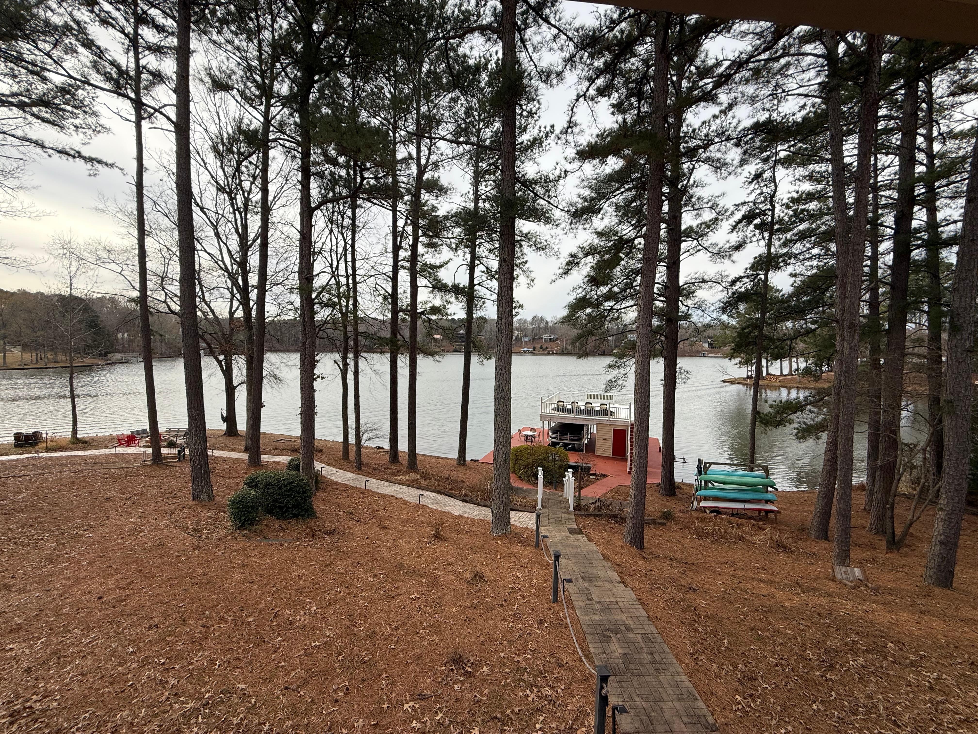 The beautiful backyard! 