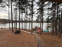 The beautiful backyard!