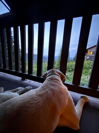 Dusk
