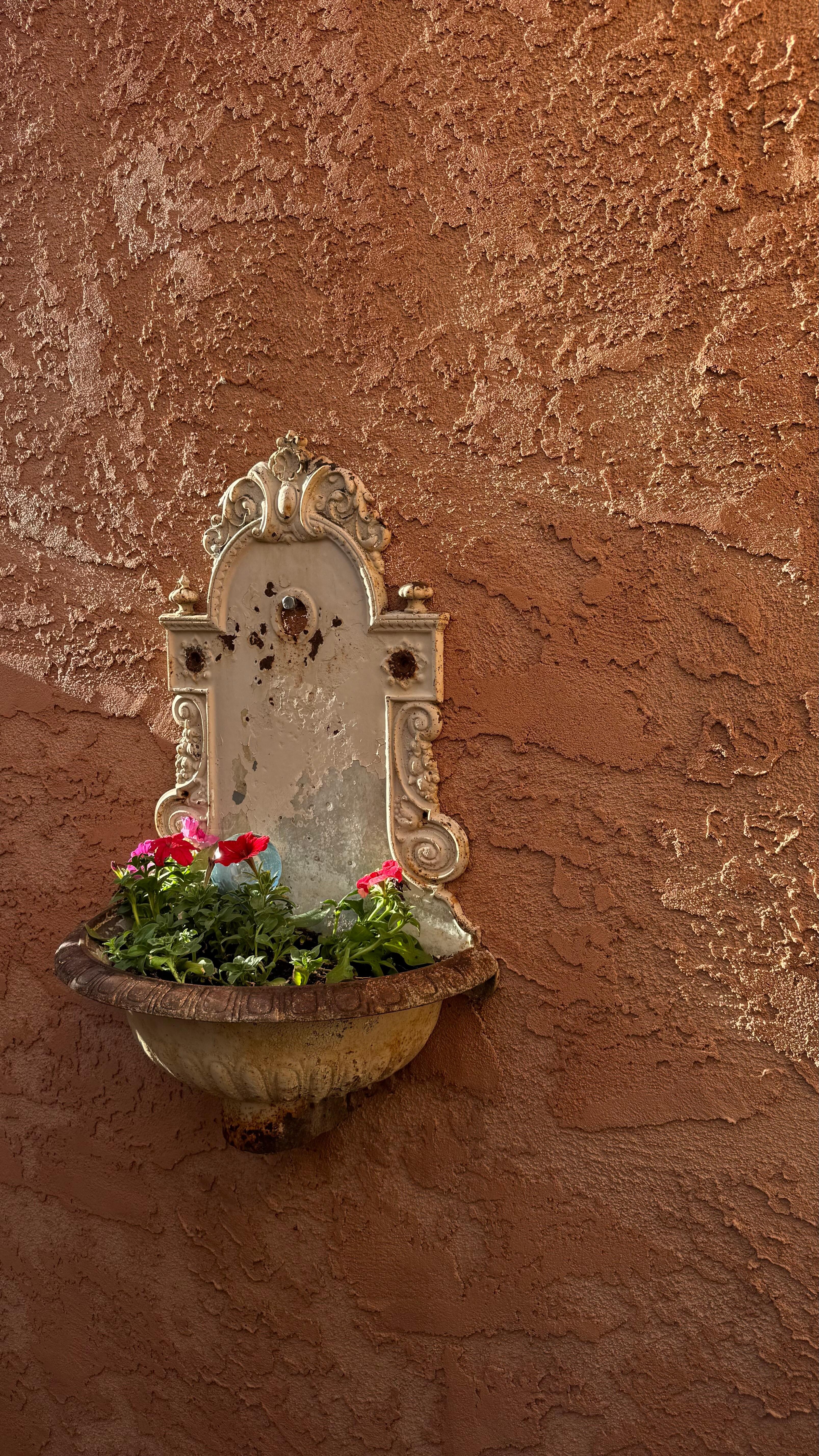 Lovely flowers around the property 